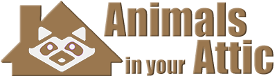 Animals in your Attic Logo